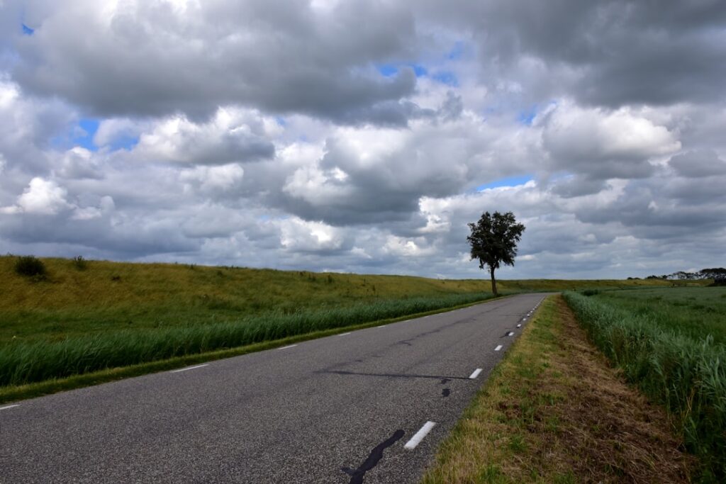 De bijzondere wereld op de dijk: genieten, beleven en herinneren