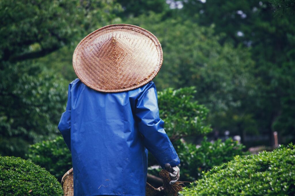 Duurzame tuinafscheiding die mooi oogt en lang meegaat